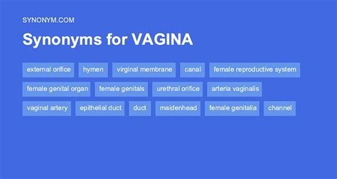 pussy synonyms|VAGINA Synonyms 